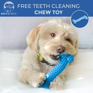 https://bentandfreck.com/cdn/shop/products/No_Spill_Dog_Bowls_Bent_Freck_dog_toy_300x.jpg?v=1573158348